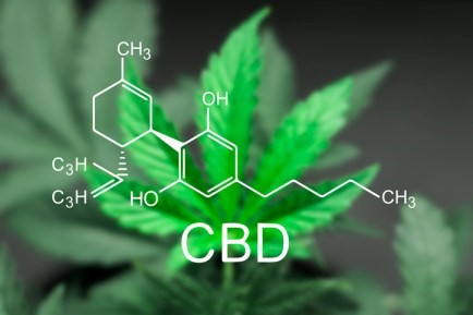 CBD Oil And Cream Pendleton 
      KY 40055
